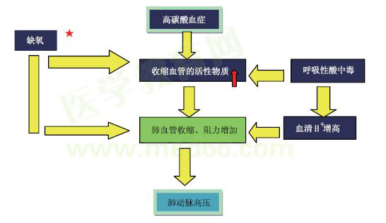 慢性肺源性心臟病