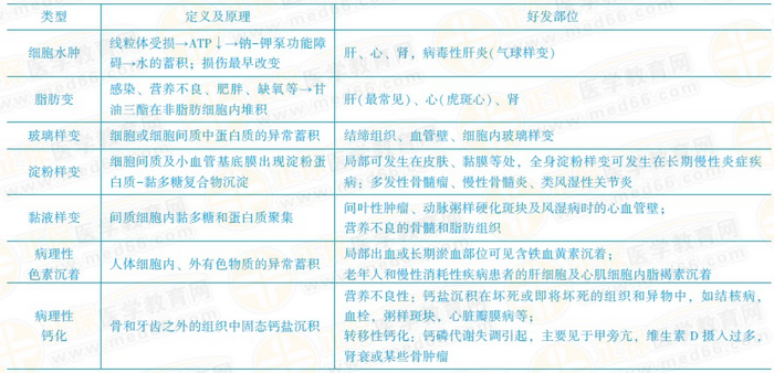 可逆性損傷的?？键c 