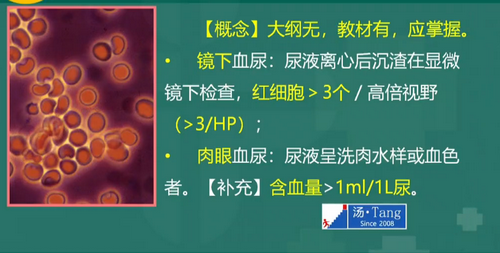 湯以恒2019臨床執(zhí)業(yè)醫(yī)師泌尿系統(tǒng)科目免費(fèi)視頻課更新！