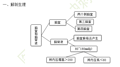 腦室系統(tǒng)解剖