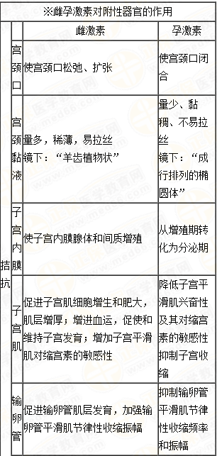 雌、孕激素的生理作用及附性器官的周期性變化