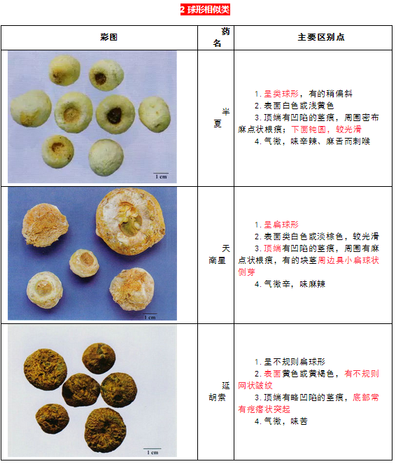 每日沖刺計(jì)劃！2019執(zhí)業(yè)藥師《中藥學(xué)專業(yè)知識(shí)二》第一篇！