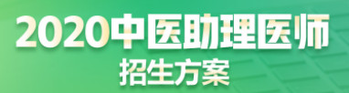 中醫(yī)助理醫(yī)師輔導課程