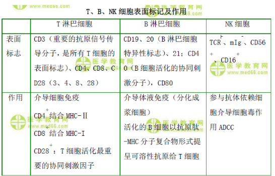 T、B、NK細(xì)胞表面標(biāo)記及作用