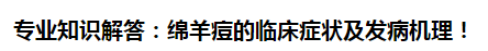 專業(yè)知識解答：綿羊痘的臨床癥狀及發(fā)病機理！