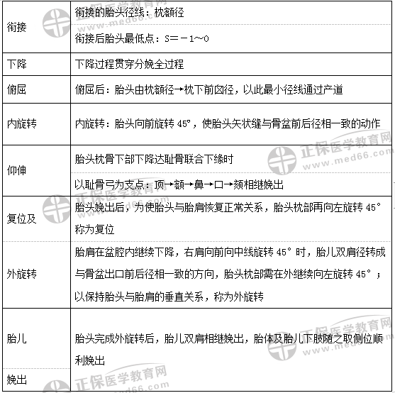 枕先露的分娩機制