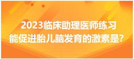 2023臨床助理醫(yī)師練習(xí)-促進(jìn)胎兒腦發(fā)育的激素是？