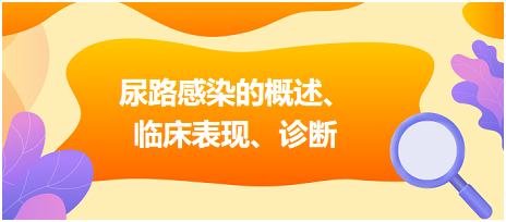 尿路感染的概述、臨床表現(xiàn)、診斷