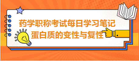 2024藥學職稱考試每日學習筆記：蛋白質(zhì)的變性與復(fù)性