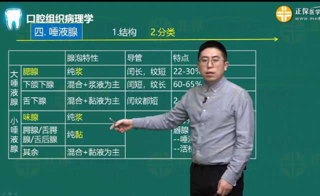 課程回顧：2023口腔執(zhí)業(yè)醫(yī)師考試輔導(dǎo)課程——基礎(chǔ)學(xué)習(xí)班——口腔組織病理學(xué)——口腔組織學(xué)——第10講唾液腺